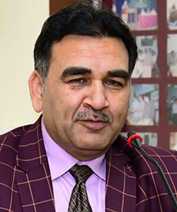 سرپرست